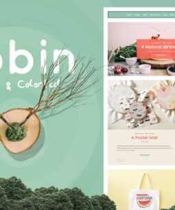 Robin – Tema fofo e colorido para blogs