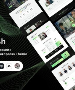 Bullish – Finance & Accounts Consulting WordPress