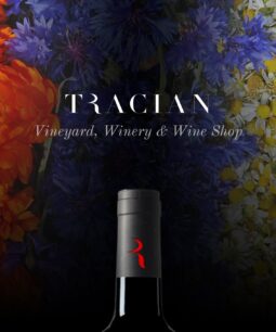 Tracian – Wine WordPress Theme