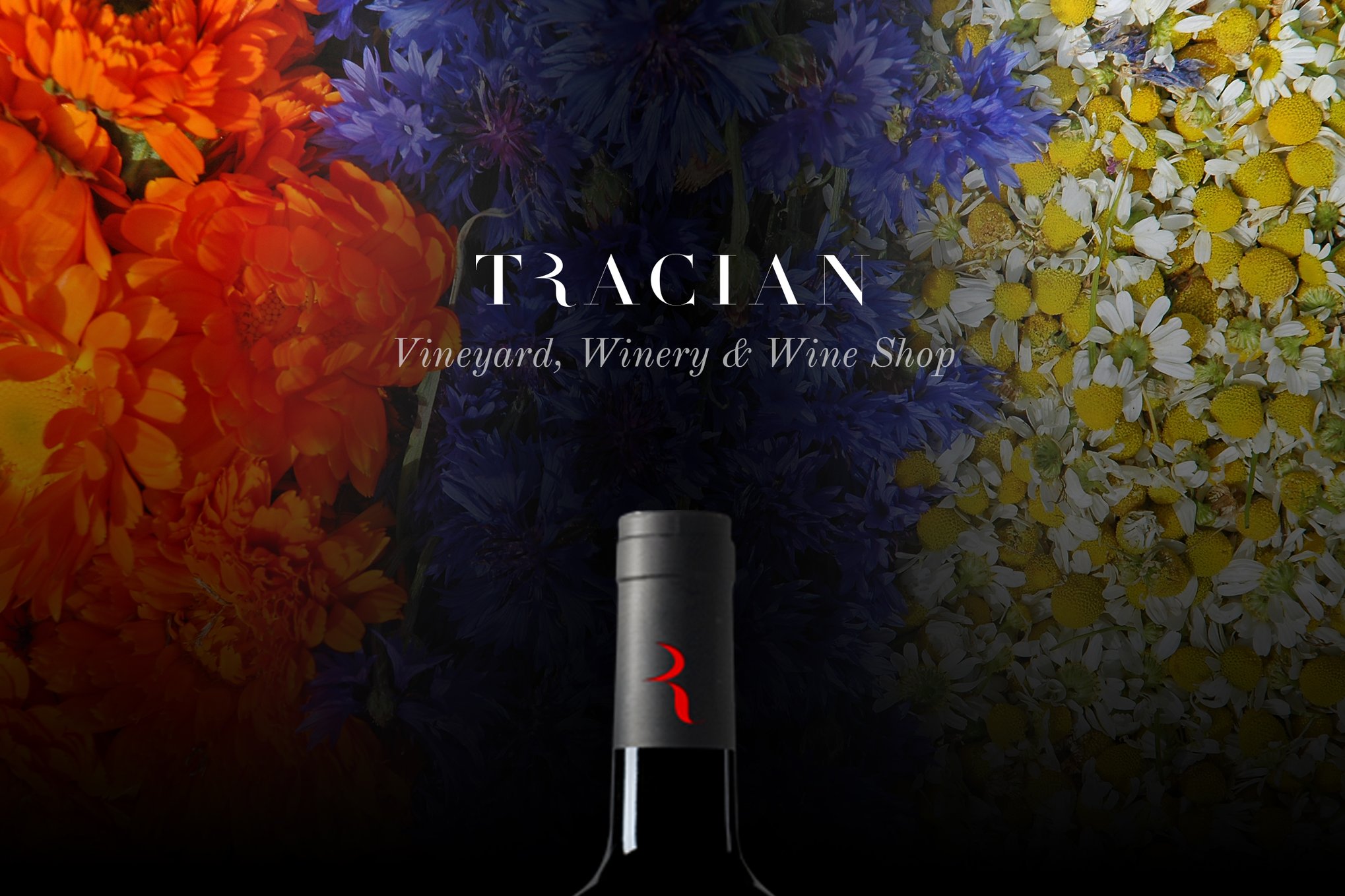 Tracian – Wine WordPress Theme